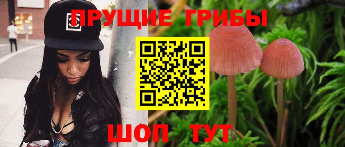 Галлюциногенные грибы MAGIC MUSHROOMS  Вход с VPN  Владимир 