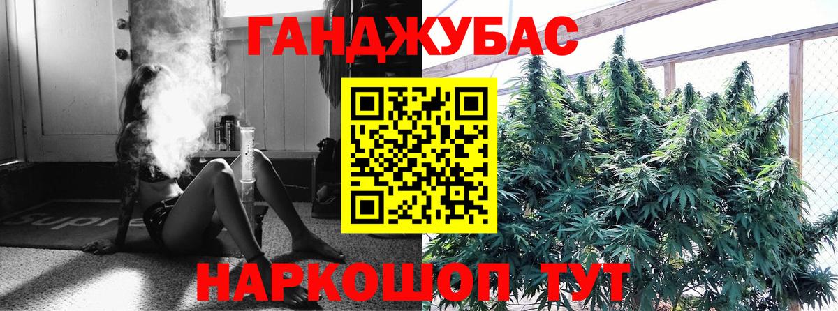 Бошки марихуана сатива  Конопля Bruce Banner  Вход с VPN  Владимир  Бошки Шишки сатива 